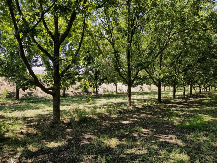 Commercial Property for Sale in Groblershoop Northern Cape